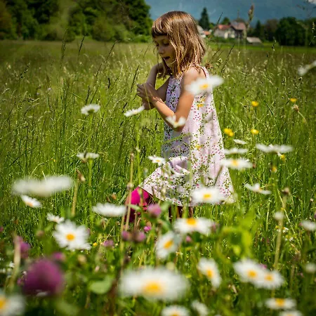 Vernig Lägenhet Bled
