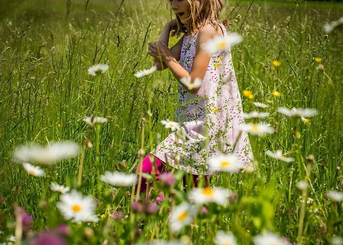 Vernig Lejlighed Bled